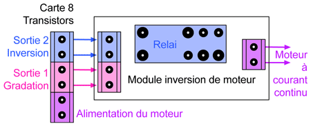 Branchement du module et du moteur.