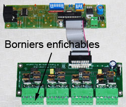 Dominaux enfichables