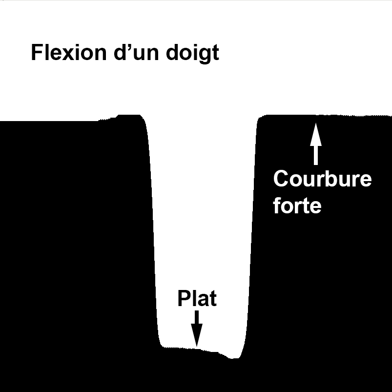 donnees-grandes-flexion.png