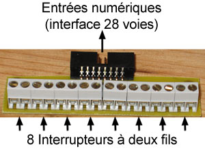 Adapateur pour entrées numériques.