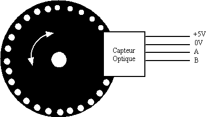 Roue codeuse