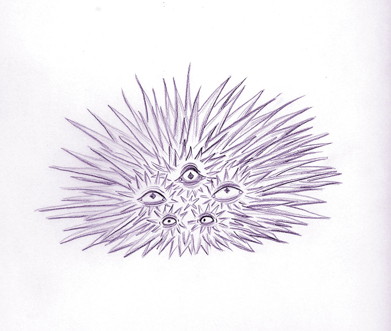 Crayon violet