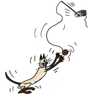 BD exemple de chat et servomoteur. Exemple d'usage d'un servomoteur.