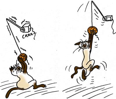 BD puissance du servo en fonction du chat. Dimensionnement d'un moteur.