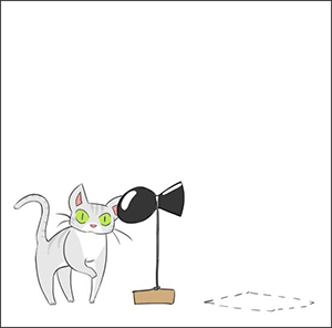 BD chat Interface-Z