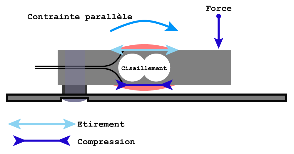 Capteur ultraforce à cisaillement Fonctionnement du capteur
