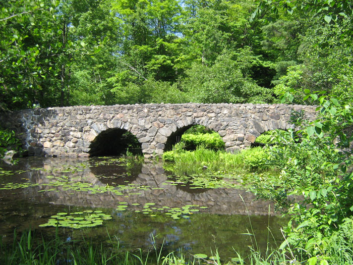 Prestation de ponts de liaison entre différents logiciels